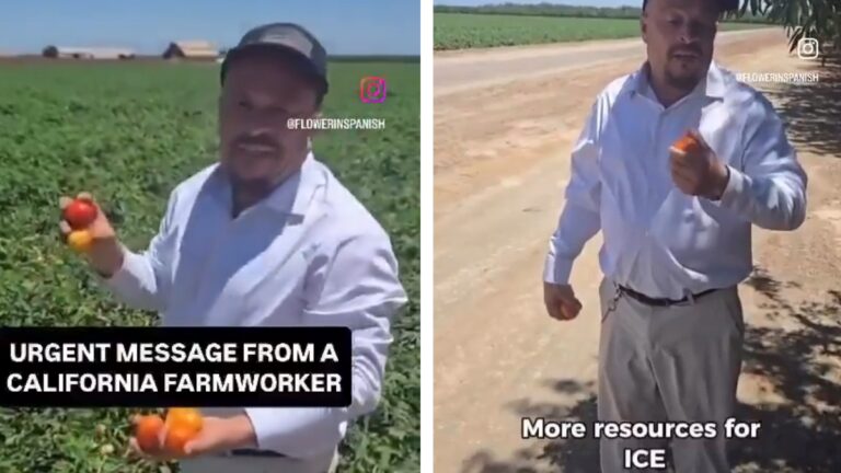 California farmer harvest season 2025