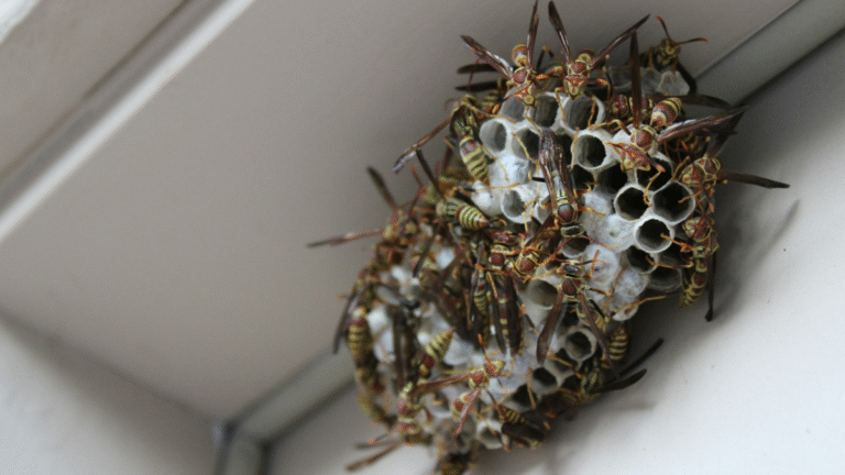 Michigan Boss Sprays Maintenance Worker’s Face With Wasp Spray as a Joke: ‘The Kind of Thing a 10-Year-Old Boy Would Do’ Michigan Boss Sprays Maintenance Worker’s Face With Wasp Spray as a Joke