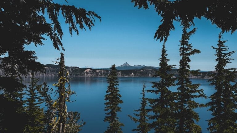 Oregon Man Approached By Estranged Friend For Excessive Handout, ‘I Had a Friend Like This Once, Never Gave Him a Single Penny’