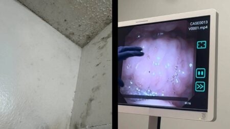 Tennessee Choke Mold