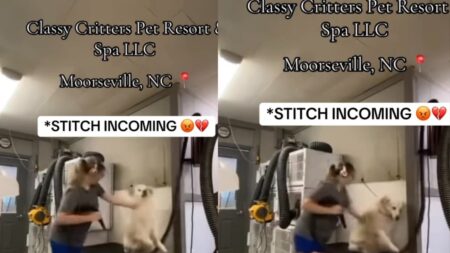 North Carolina Dog Groomer Caught Beating Helpless Dogs on Camera: ‘My Blood Is Boiling’ A picture of the North Carolina groomer.