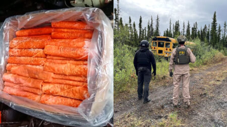 Alaska School Bus Ignites Panic After Man Finds 50 Pounds of Dynamite Inside: ‘Did the Bus Have to Stay Above 50 MPH?’ Alaska school bus with dynamite