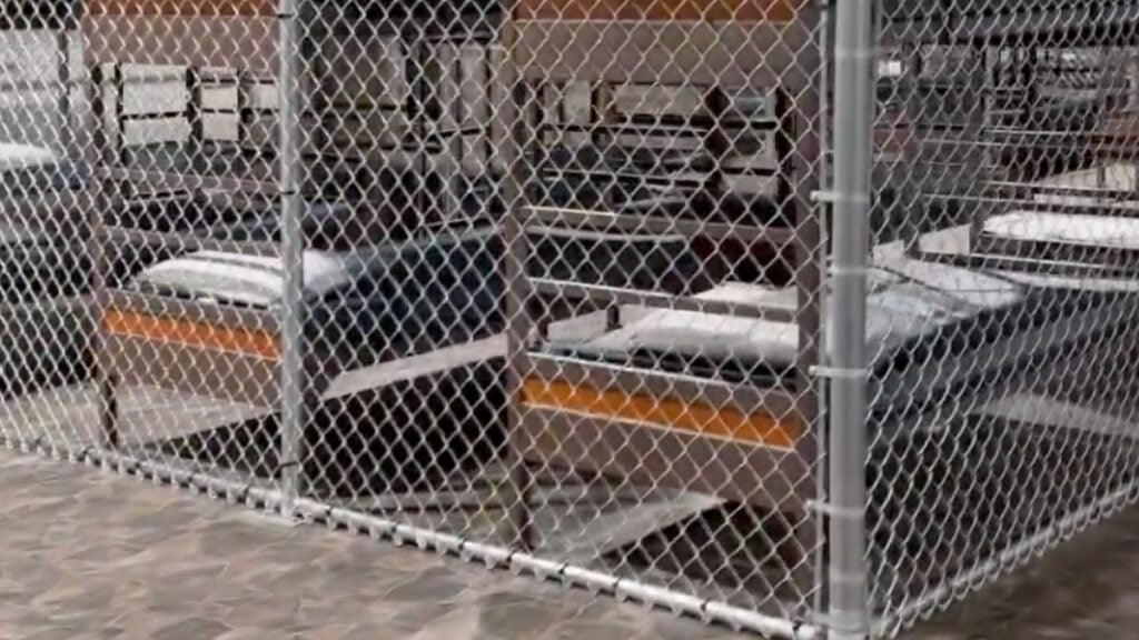 ‘Alligator Alcatraz’ Goes Viral Amid ICE Deportations, ‘It Is Disgusting’ And ‘Un-American’ alligator alcatrez