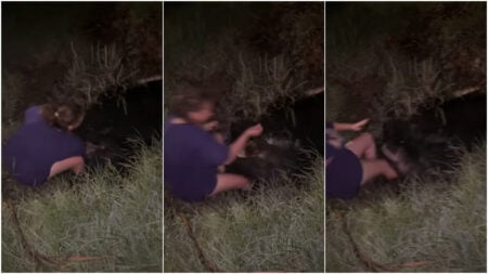 Louisiana Woman Gets Attacked by Alligator After Dipping in Swamp Despite Warning, ‘Got Off Pretty Easy’ Alligator attack in swamp in Louisiana
