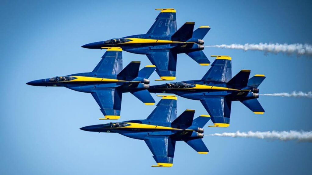 Seattle Woman Blames Fighter Jets for Her Cat’s Death Then Fights US Navy: ‘She Has a Good Point’ fighter jets cause cat death