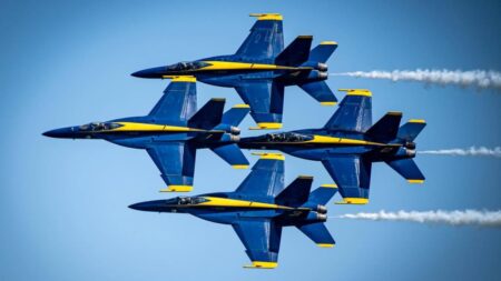 Seattle Woman Blames Fighter Jets for Her Cat’s Death Then Fights US Navy: ‘She Has a Good Point’ fighter jets cause cat death