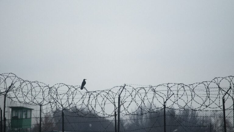 Utah wife abused and died in fire