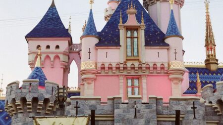 DIsneyland castle