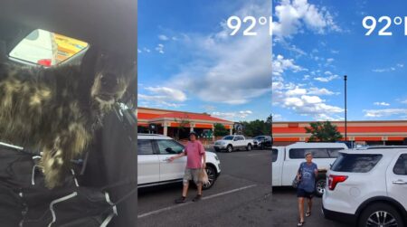 dog owners confronted colorado