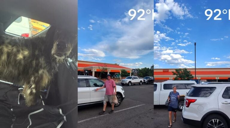 dog owners confronted colorado