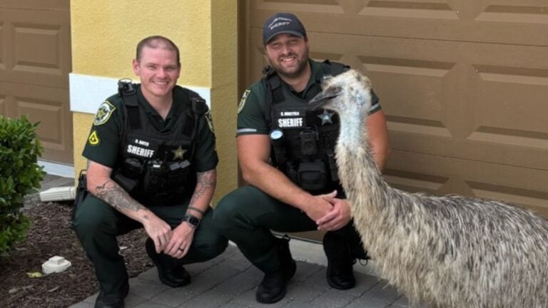 Emu rescued in Florida