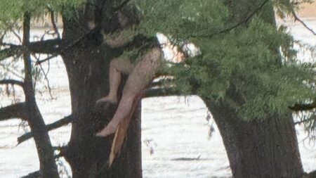 Girl holding onto a tree