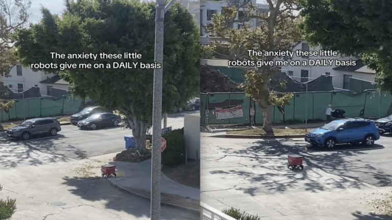 California Woman Has Empathy for Coco Robot Struggling to Cross Busy Street