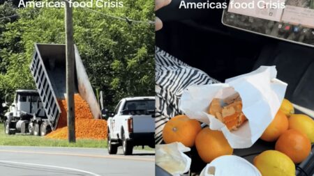 California Woman Questions Why We Struggle to Feed People When Crops Are Being Dumped