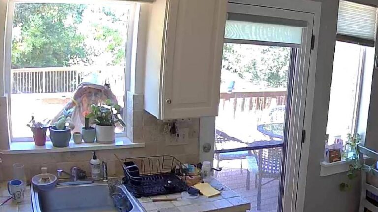 California terminates lease branches