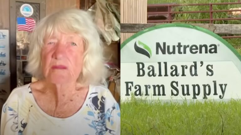 Florida 92-Year-Old Woman Beaten While Screaming ‘Not on My Watch!’ as Thieves Steal Her Dogs Florida Woman Beaten and Dogs Stolen