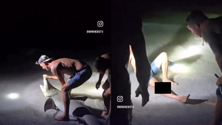 Boca Grande Shark Bite Sends Man to Gulf Coast Medical Center: ‘Apex Predator vs. Florida Man’