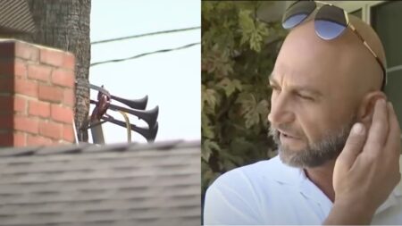 LAPD Arrests Man for Blasting Loud Horns and Alarms for Months