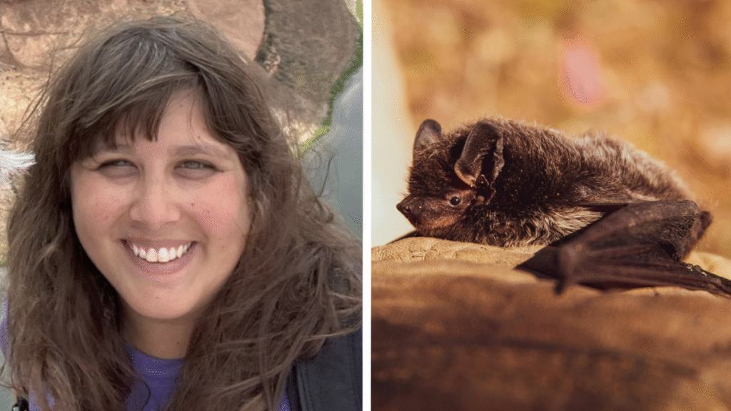 Massachusetts Woman Nearly Swallows Bat for $21,000: ‘I Know What Bats Taste Like Now’ Massachusetts Woman Nearly Swallows Bat for $21,000