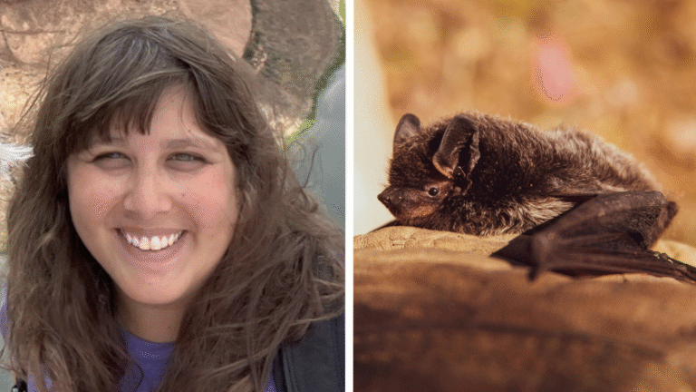 Massachusetts Woman Nearly Swallows Bat for $21,000