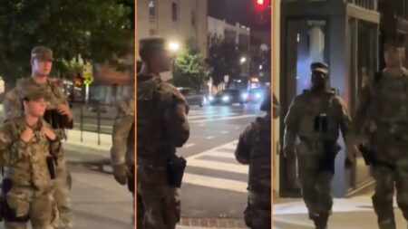 National Guard Members Spotted Carrying Firearms Around Washington DC Amindst Crime Crackdown, 'I Don't See This Going Well'