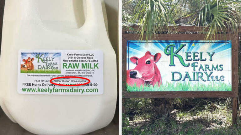 Florida Mom ‘Killed Her Own’ Baby After Feeding Her Toddler ‘Raw Milk Not for Human Consumption’: ‘Too Dumb To Be a Mother’ Pregnant Florida Fed Her Toddler Raw Milk