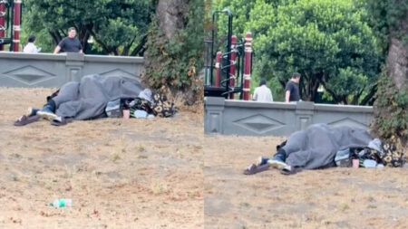 Shocking Park Incident as Homeless Couple Caught Having Sex Near Cal Anderson Play Area: ‘A Sight I Wish I Could Unsee’ Shocking Park Incident as Homeless Couple Caught Having Sex Near Cal Anderson Play Area: 'A Sight I Wish I Could Unsee'