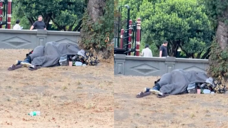 Shocking Park Incident as Homeless Couple Caught Having Sex Near Cal Anderson Play Area: 'A Sight I Wish I Could Unsee'