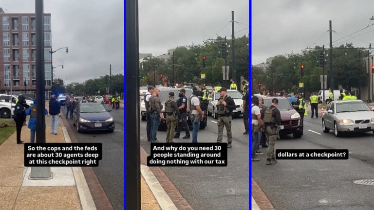 Woman Ponders Why We Need Homeland Security in Washington, DC For Seatbelt Checks