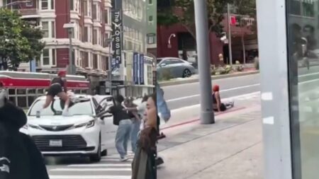 Reckless California Woman Slammed to the Ground After Twerking on Top Of Moving Car: ‘She Deserved That’ A picture of the California woman.