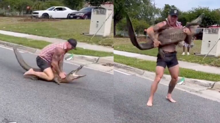 ‘Most Normal Day in Florida’: Viral Video Shows Barefoot Man Tackling Alligator Man tackles Florida alligator