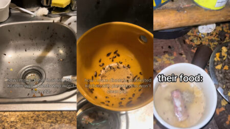 ‘Abused’ Girl’s Roach-Infested Kitchen in LA Creeps Everyone Out After She Cooked & Ate in It: ‘Poor Baby You Need to Get Out of There’ roach kitchen LA