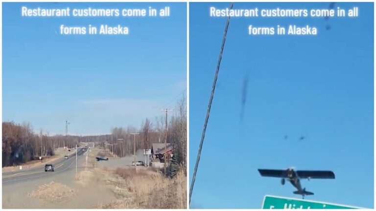 Alaska Customer Leaves Restaurant in Style by Flying Away in a Plane in Viral Clip