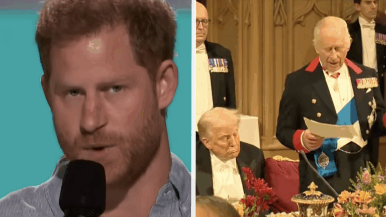 King Charles 'Respects' Prince Harry During State Banquet Speech with Donald Trump