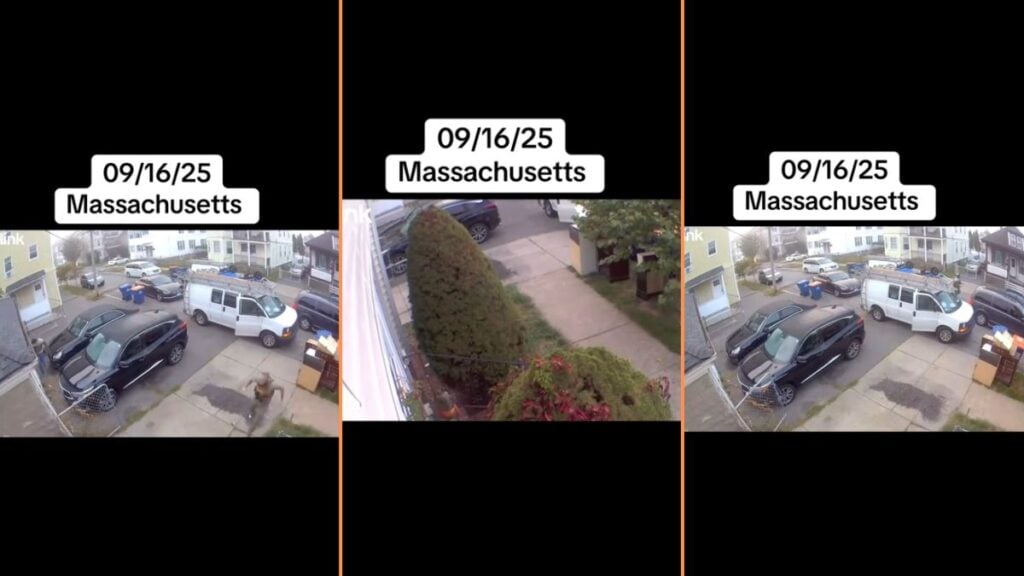 Massachusetts Neighborhood ICE Raid Caught on House Camera, 'Mind You These People Are Just Working'