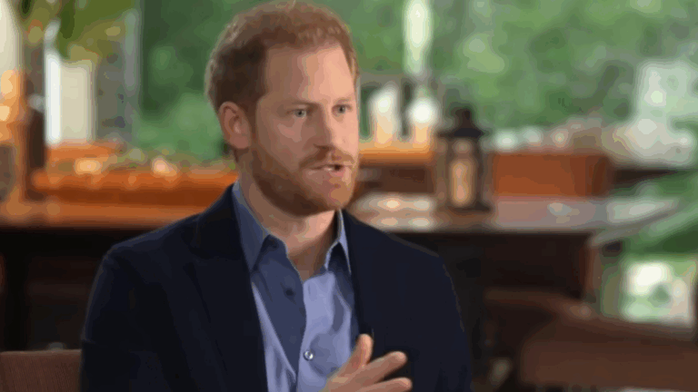 Prince Harry Plans To Get Into 'Pity Porn,' With Private Children in Need Meeting