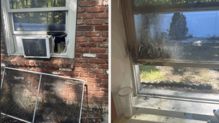 Rhode Island Girl ‘Tried to Burn Neighbor’s House Down,’ Then Lies About It: ‘That Little Sh*t Is Playing With YOUR Lives’ Rhode Island Girl 'Tries to Burn Neighbor's House Down