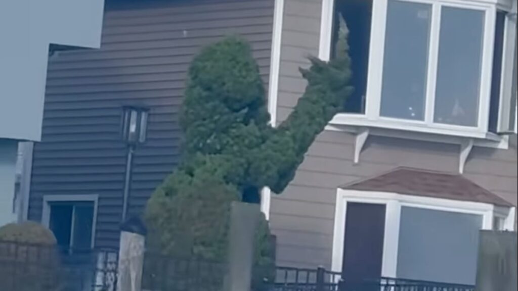 Waterfront Resident Sends Message to Boaters in the Form of a Massive Shrub Flipping the Bird, “Only On Long Island” Bellmore resident shapes shrub into a person flipping the bird