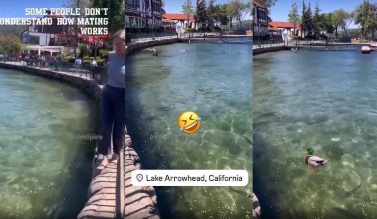 california karen attacks ducks