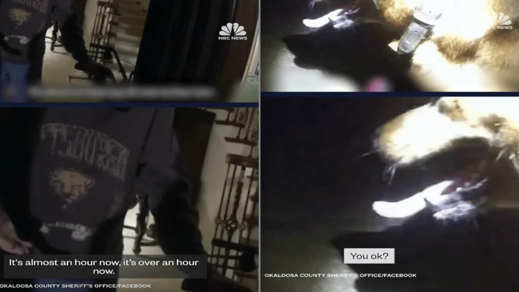 Florida Body Cam Footage Shows Dog Leading Deputy to Missing Woman, ‘I’d Argue That Dogs Are Human’s Greatest Invention’ Florida Body Cam Footage Shows Dog Leading Deputy to Missing Woman