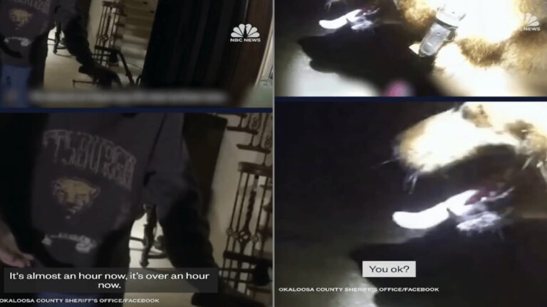 Florida Body Cam Footage Shows Dog Leading Deputy to Missing Woman