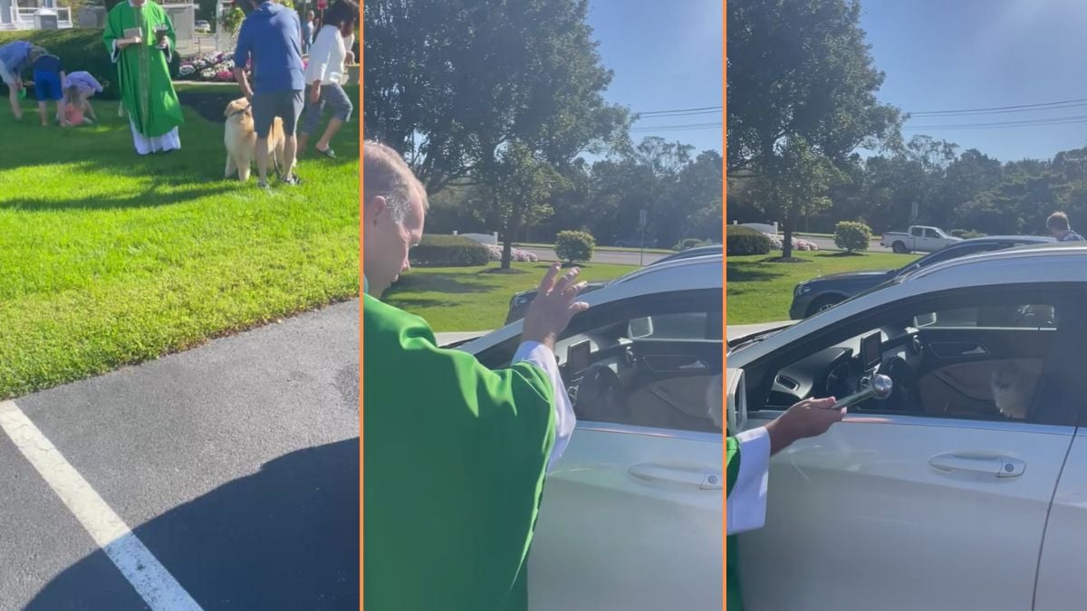 New Jersey Dad Gets Priest to Bless Cat: ‘Just Two Grown Men Giggling Over a Cat’