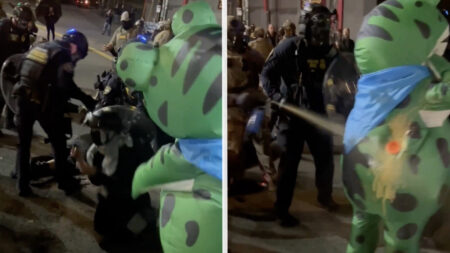 Portland Police Pepper-Sprays Breathing Vent of Protester in Frog Suit for Helping Another Officer: ‘Highly Dangerous and Absolutely Uncalled For’ Portland Police Pepper-Sprays Breathing Vent of Protester in Frog Suit for Helping Another Officer