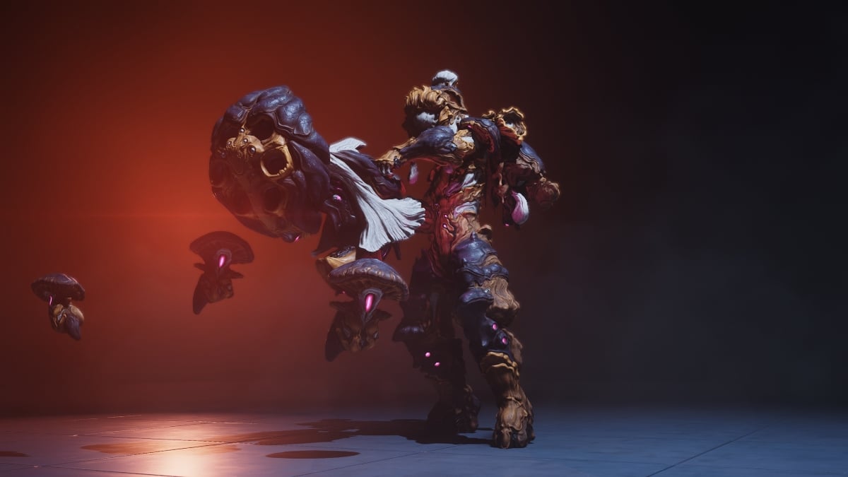 Warframe Nokko build guide