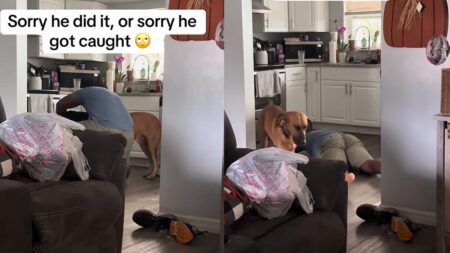 Pathetic Florida Man Breaks Down Crying After Getting Caught Cheating: ‘And He Was Able to Get Two Women?!’ He just made the breakup a lot easier