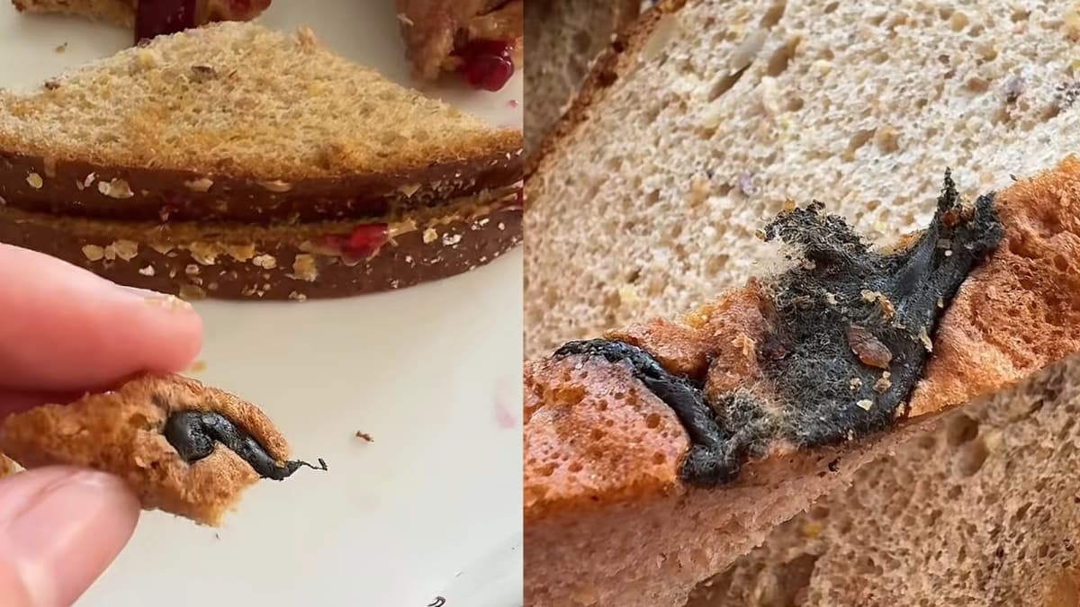Shocked Ohio Woman Discovers Dead Rat Baked Into Her Aldi Bread After Eating From It: ‘Pretty Sure That’s a Dead Mouse’