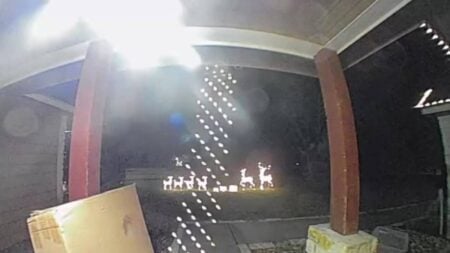 Arizona Homeowner’s Christmas Lights Mishap Goes Viral After They Fall Off the Roof: ‘The Way The Lights Fall Off Makes It Even More Painful’ Arizona Christmas Lights