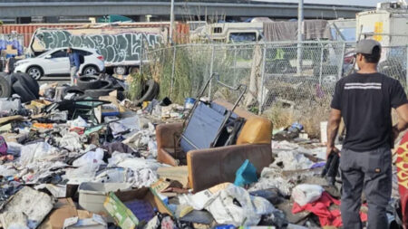 California Man Single-Handedly Changes Google Earth Maps by Transforming Illegal Dumping Site