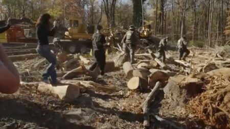 Charlotte locals chase ICE agents