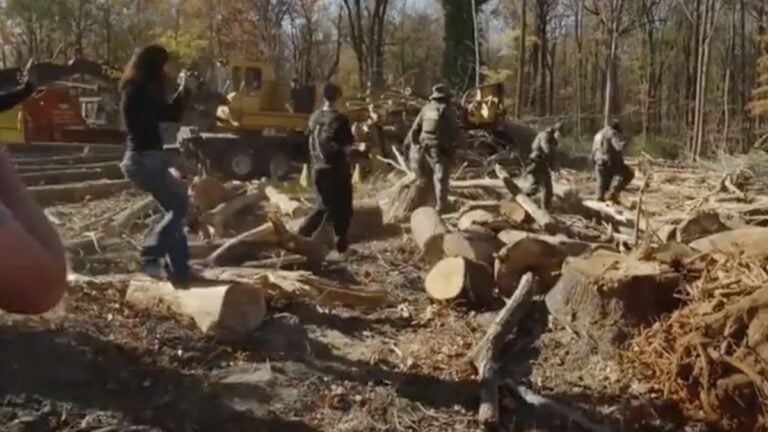 Charlotte locals chase ICE agents